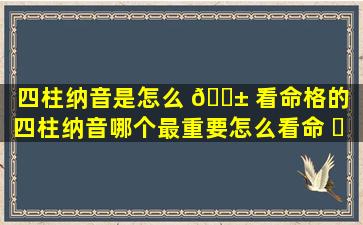 四柱纳音是怎么 🐱 看命格的（四柱纳音哪个最重要怎么看命 ☘ ）